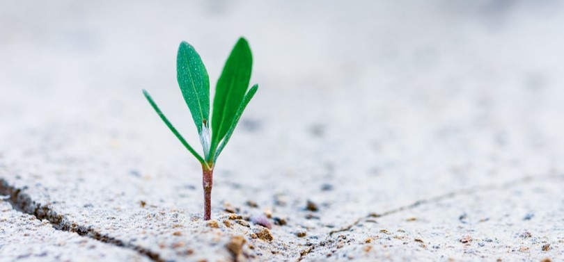 How M&A Can Drive Inorganic Growth