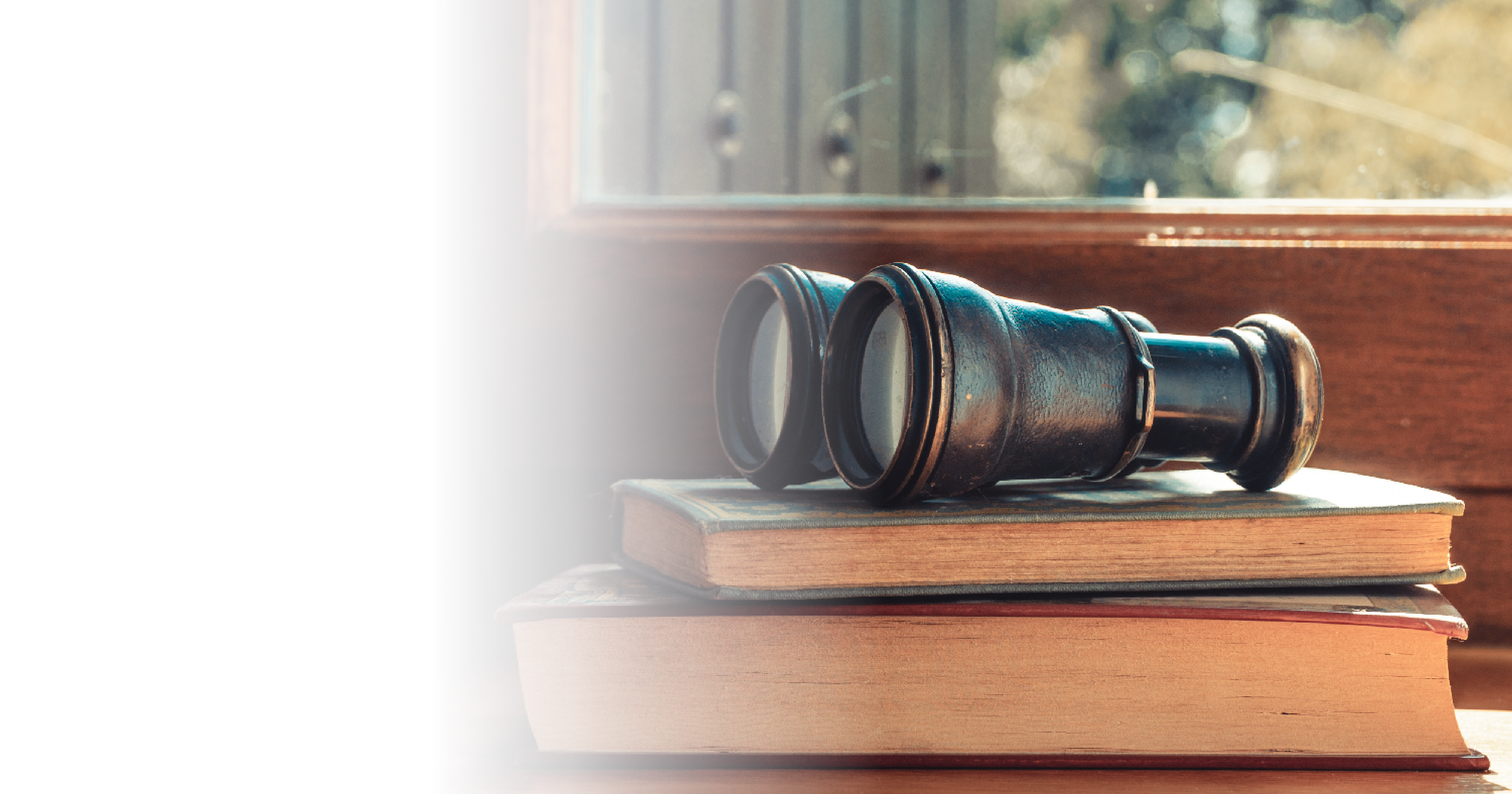 3 Reasons Why M&A Investors Should Focus on Lower Middle Market Firms